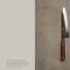 Anatomy of a Japanese Knife