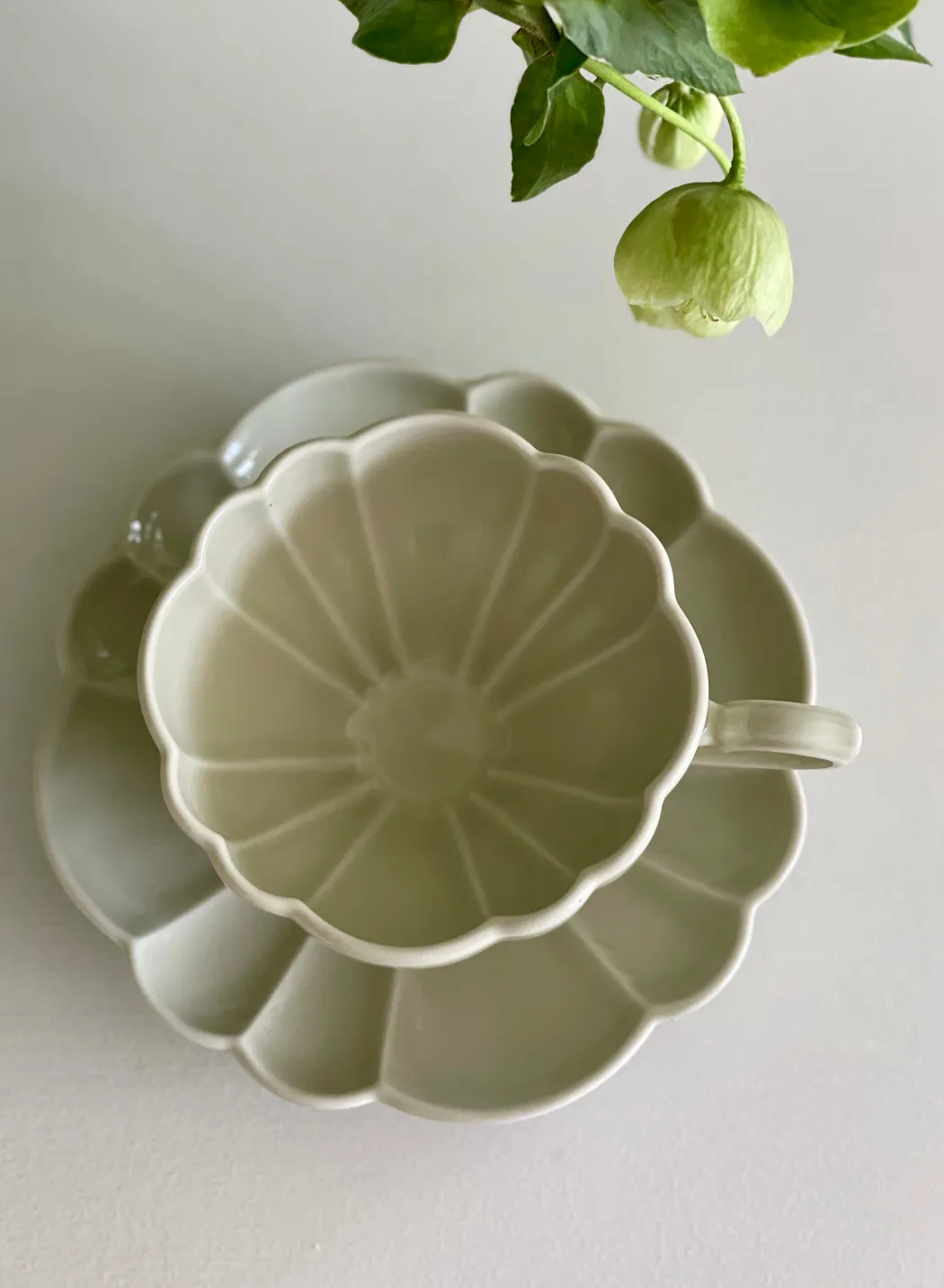 Blomsterkop med underkop; lysegrøn