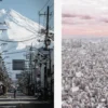 Coffee table book - Japanism