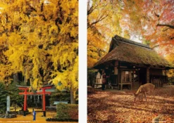 Coffee table book - Japanism