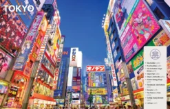 Experience Japan 2