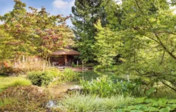 Japandi Outdoor Living