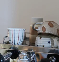 Japansk cappucinokop med store pletter
