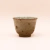 Japansk tekop med brune nister