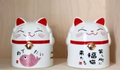 Lucky cat kop