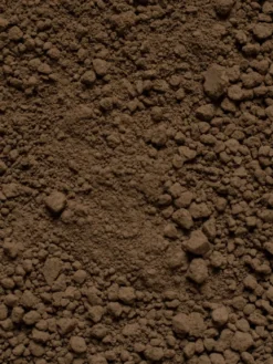 Martinys Økologisk Hojicha 30g