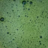 Martinys - matcha starter kit