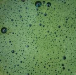 Martinys - matcha starter kit