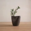 SAKI Vase