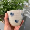 Shizuku kop med blå pletter