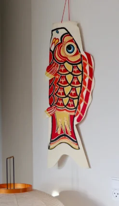 Stor Koifisk rød