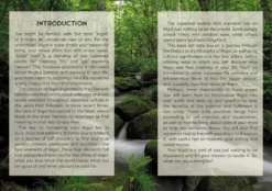 The Little Book of Ikigai