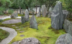 The Modern Japanese Garden