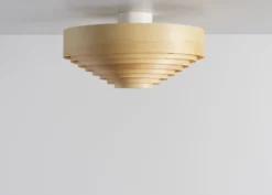 Vaarnii - 1005 Hans Ceiling Light